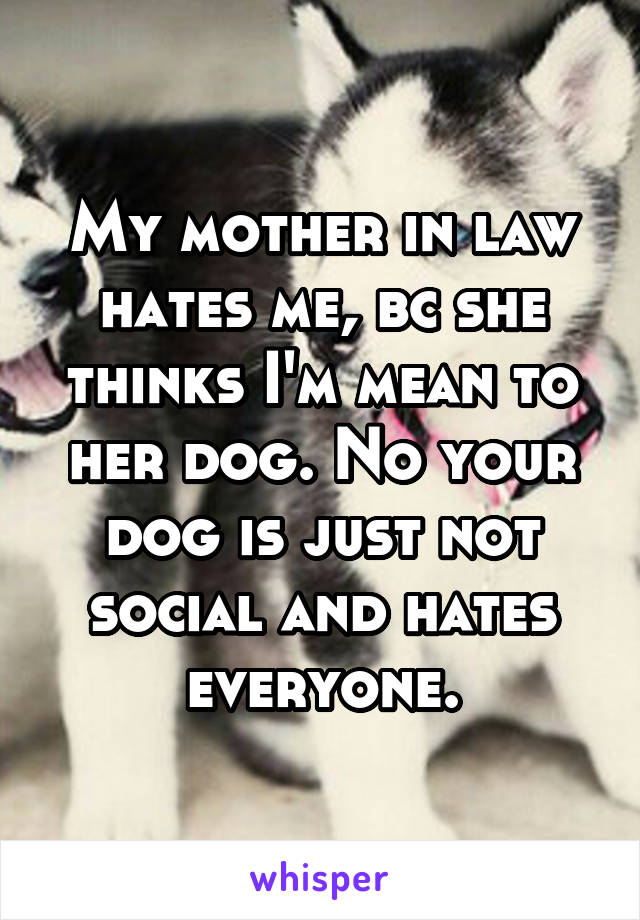 My mother in law hates me, bc she thinks I'm mean to her dog. No your dog is just not social and hates everyone.