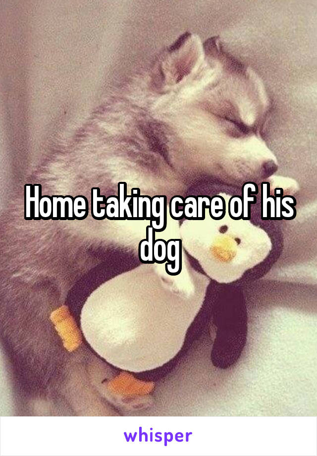 Home taking care of his dog