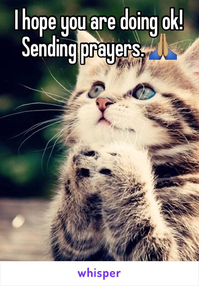 I hope you are doing ok!
Sending prayers. 🙏🏽