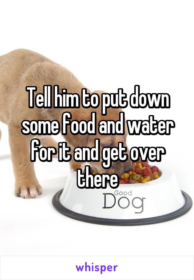 Tell him to put down some food and water for it and get over there