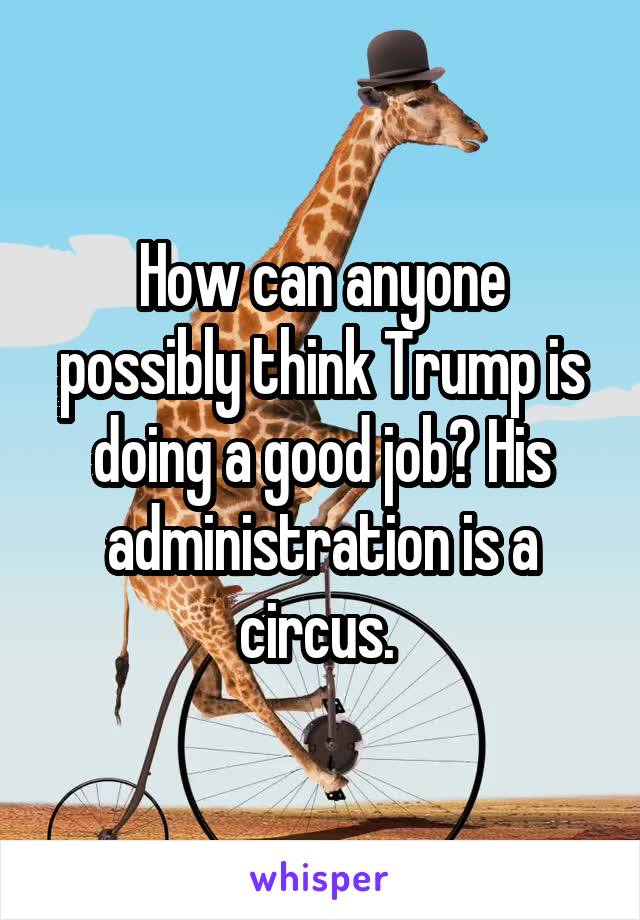 How can anyone possibly think Trump is doing a good job? His administration is a circus. 