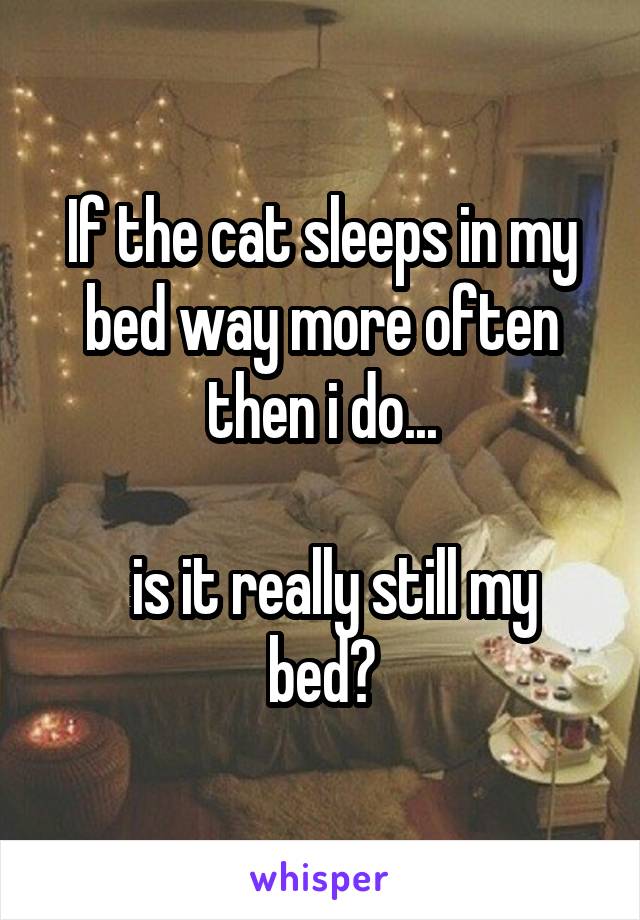 If the cat sleeps in my bed way more often then i do...

  is it really still my bed?