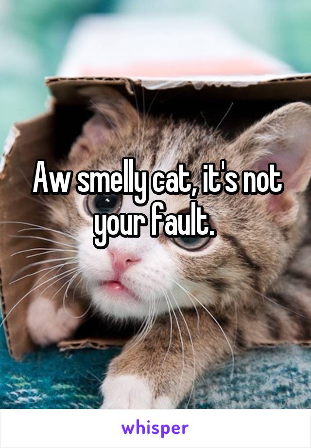 Aw smelly cat, it's not your fault. 
