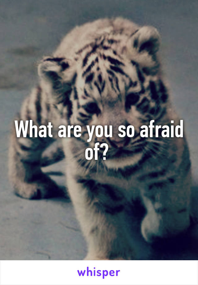 What are you so afraid of? 