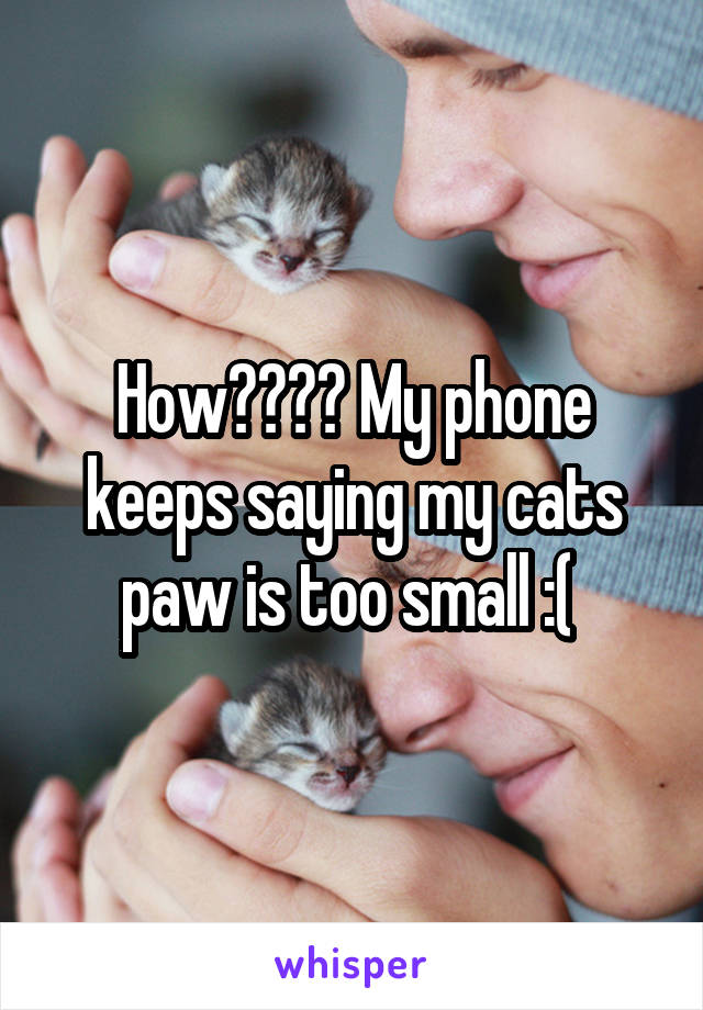 How???? My phone keeps saying my cats paw is too small :( 