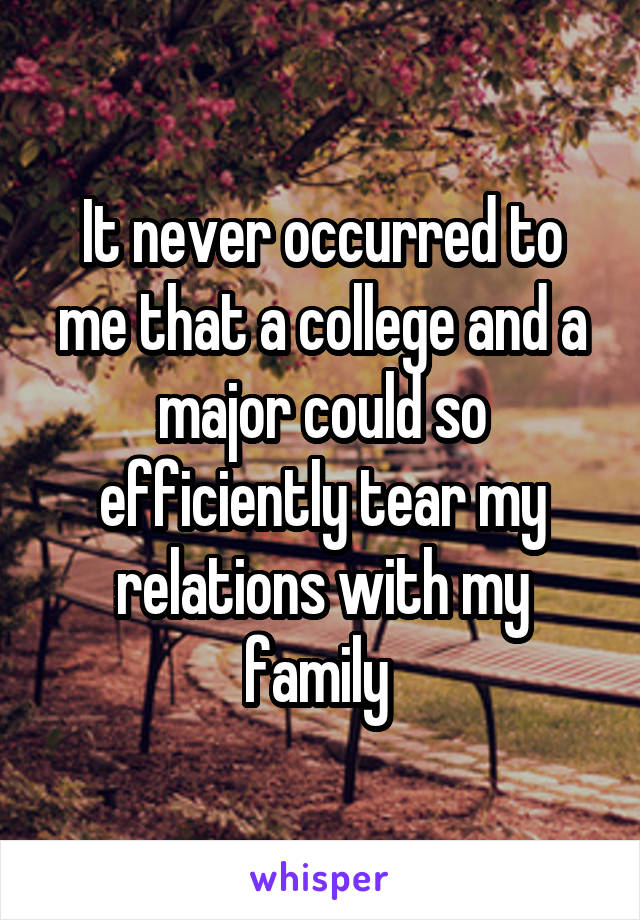 It never occurred to me that a college and a major could so efficiently tear my relations with my family 