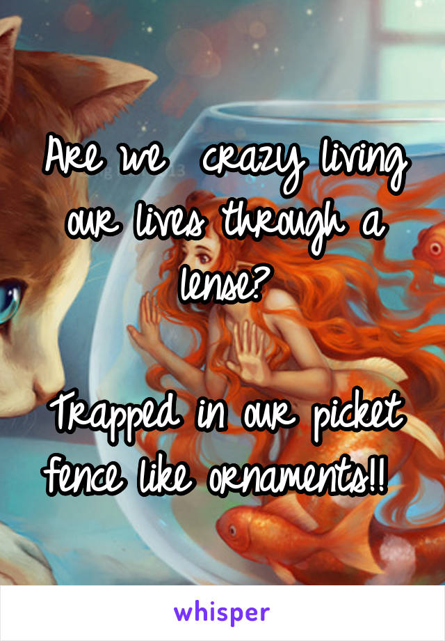 Are we  crazy living our lives through a lense?

Trapped in our picket fence like ornaments!! 