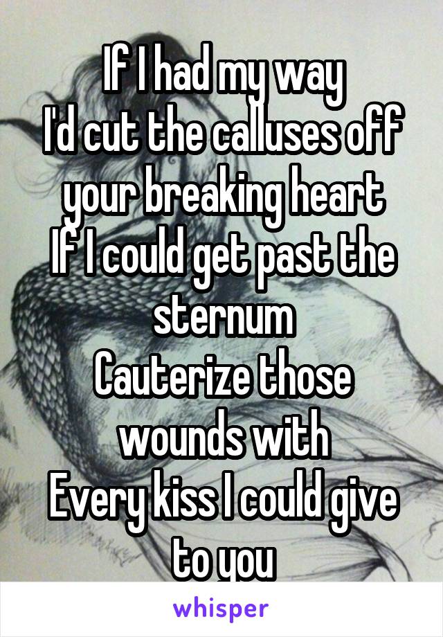 If I had my way
I'd cut the calluses off your breaking heart
If I could get past the sternum
Cauterize those wounds with
Every kiss I could give to you