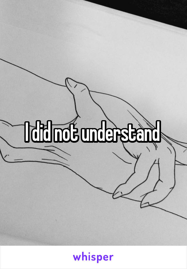 I did not understand 