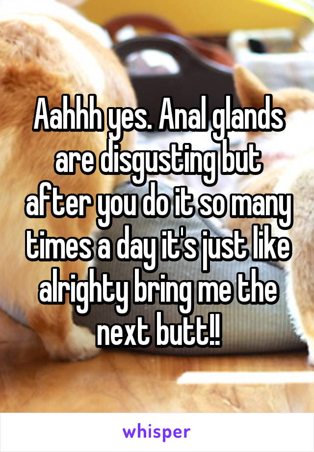 Aahhh yes. Anal glands are disgusting but after you do it so many times a day it's just like alrighty bring me the next butt!!