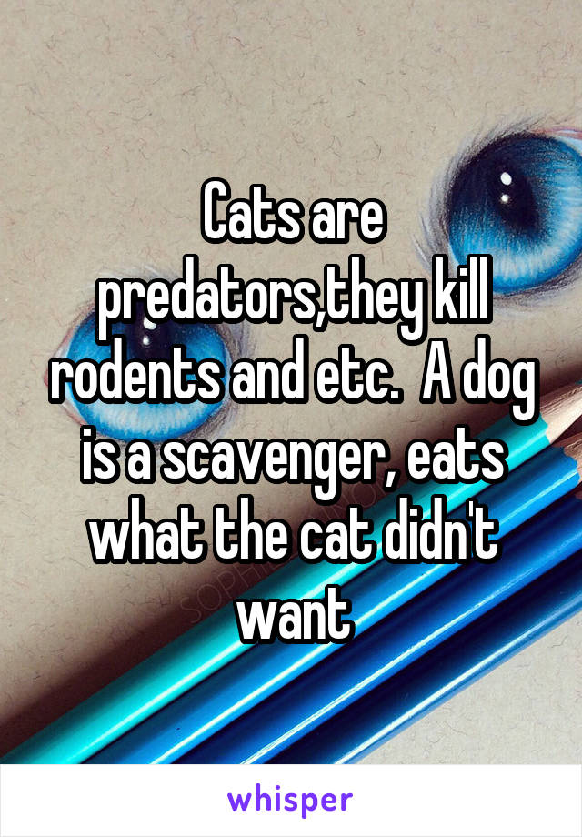 Cats are predators,they kill rodents and etc.  A dog is a scavenger, eats what the cat didn't want