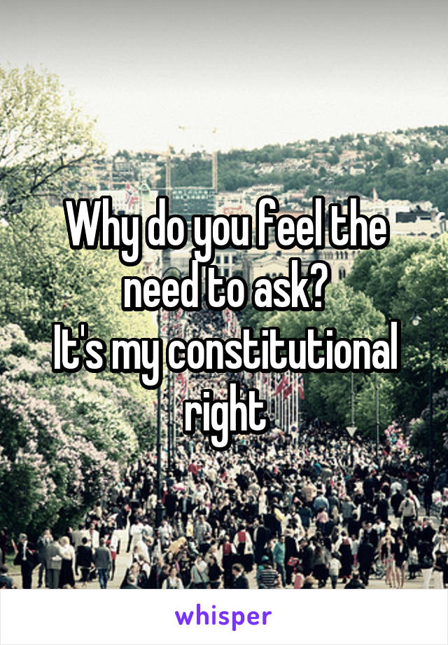 Why do you feel the need to ask?
It's my constitutional right