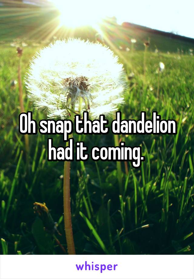 Oh snap that dandelion had it coming. 