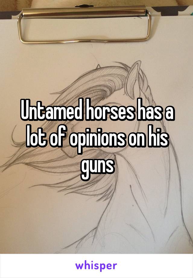 Untamed horses has a lot of opinions on his guns