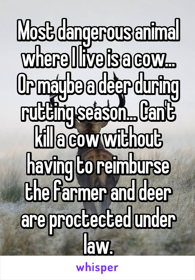 Most dangerous animal where I live is a cow... Or maybe a deer during rutting season... Can't kill a cow without having to reimburse the farmer and deer are proctected under law.