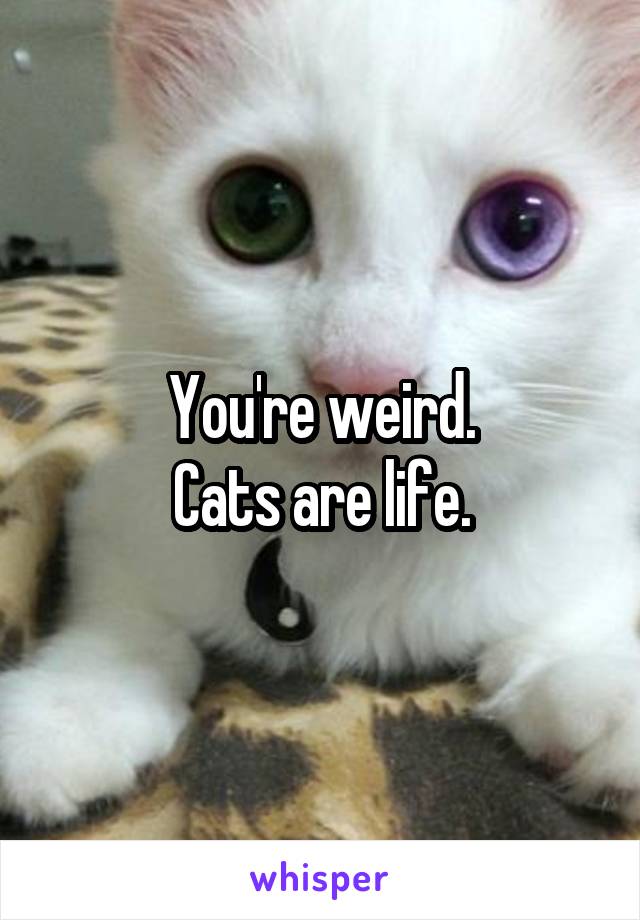 You're weird.
Cats are life.