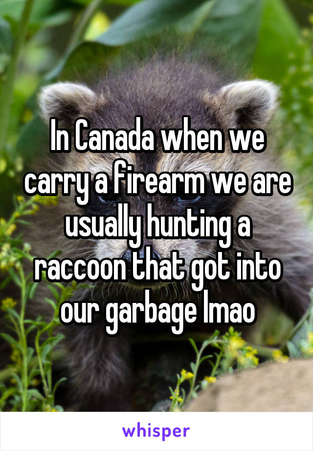 In Canada when we carry a firearm we are usually hunting a raccoon that got into our garbage lmao