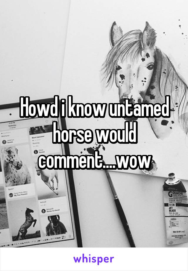 Howd i know untamed horse would comment....wow