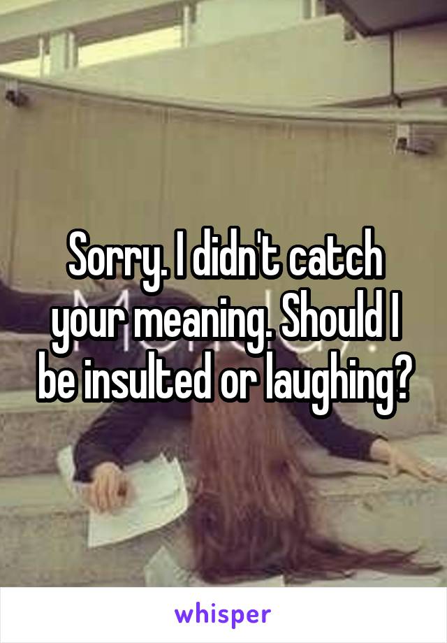 Sorry. I didn't catch your meaning. Should I be insulted or laughing?