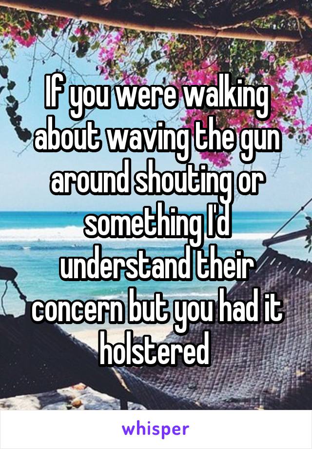 If you were walking about waving the gun around shouting or something I'd understand their concern but you had it holstered 