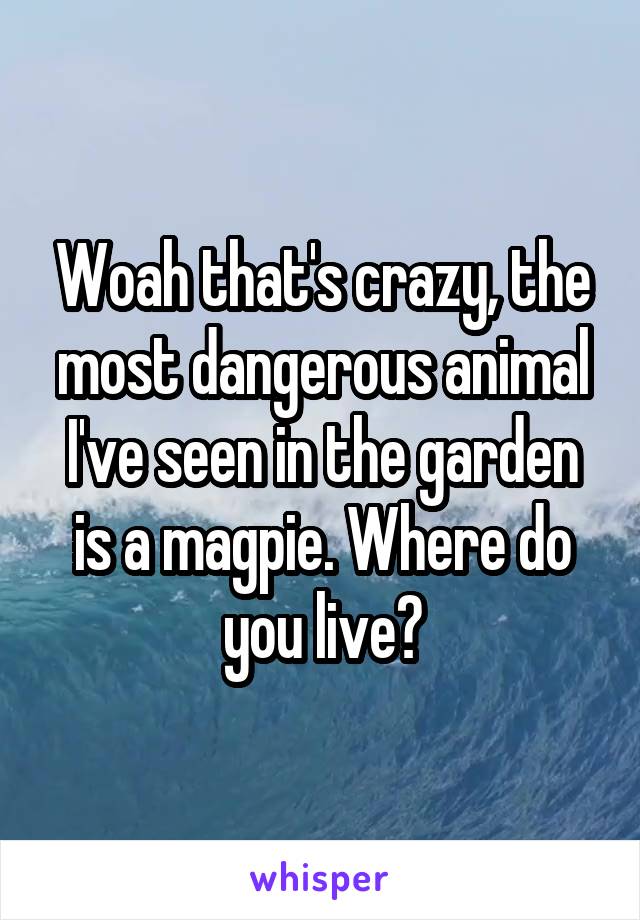 Woah that's crazy, the most dangerous animal I've seen in the garden is a magpie. Where do you live?