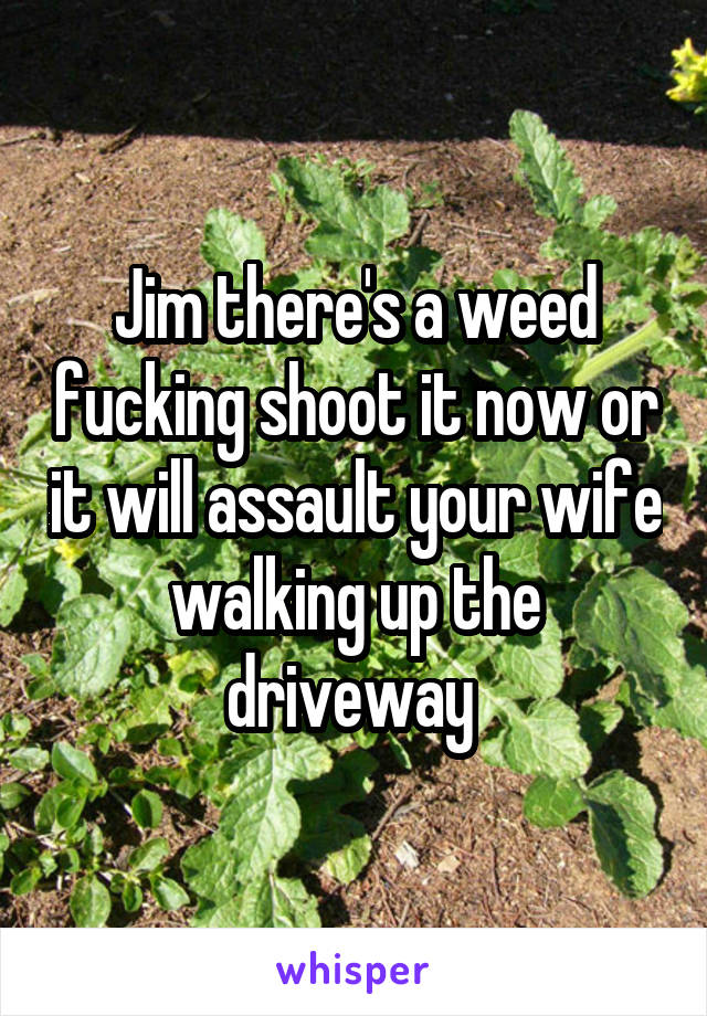 Jim there's a weed fucking shoot it now or it will assault your wife walking up the driveway 