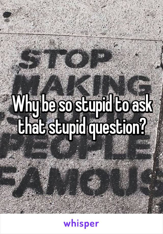 Why be so stupid to ask that stupid question?