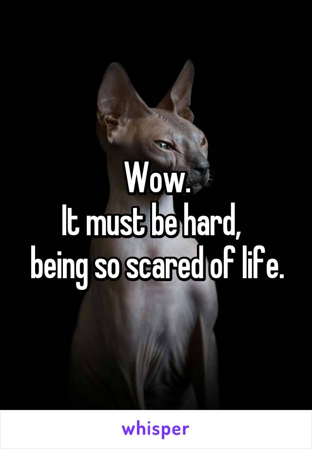 Wow.
It must be hard,  
being so scared of life.