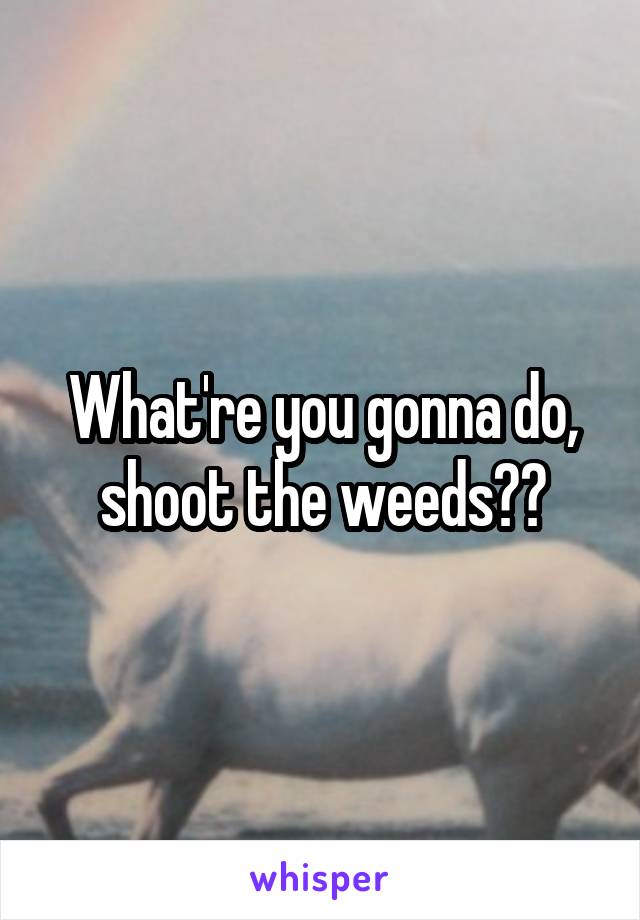 What're you gonna do, shoot the weeds??