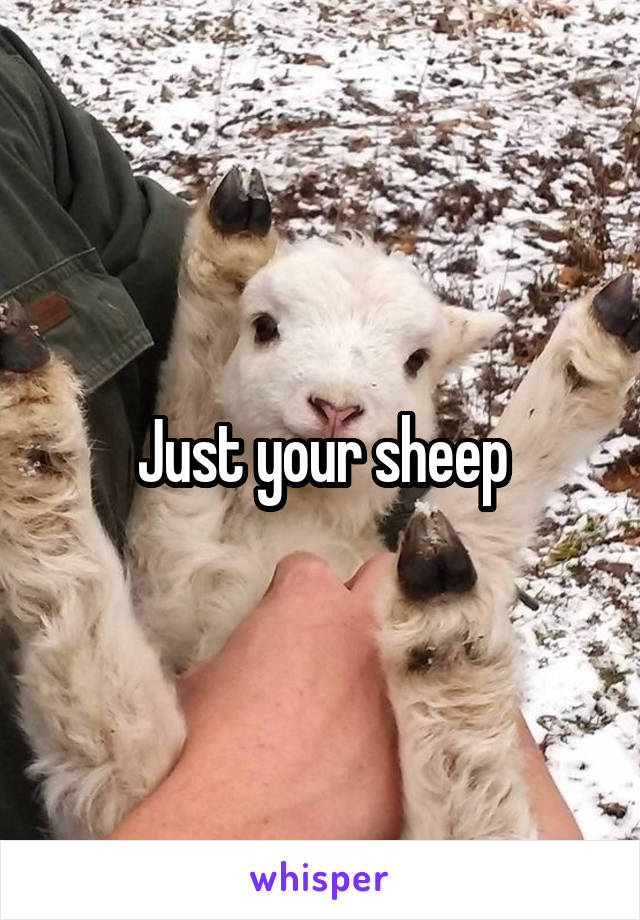 Just your sheep