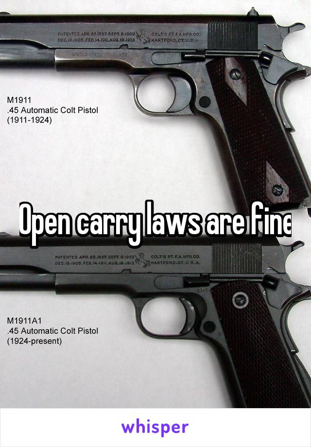 Open carry laws are fine