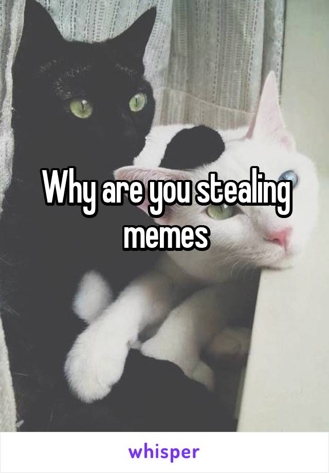 Why are you stealing memes
