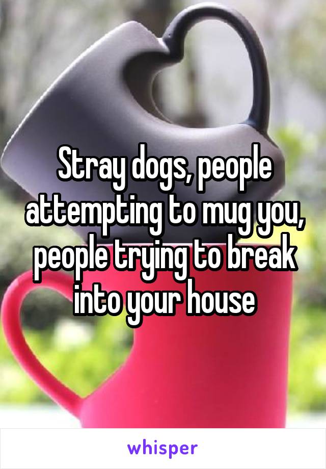 Stray dogs, people attempting to mug you, people trying to break into your house