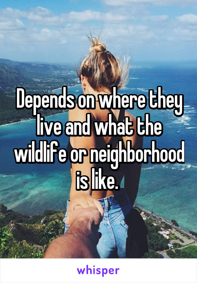 Depends on where they live and what the wildlife or neighborhood is like. 