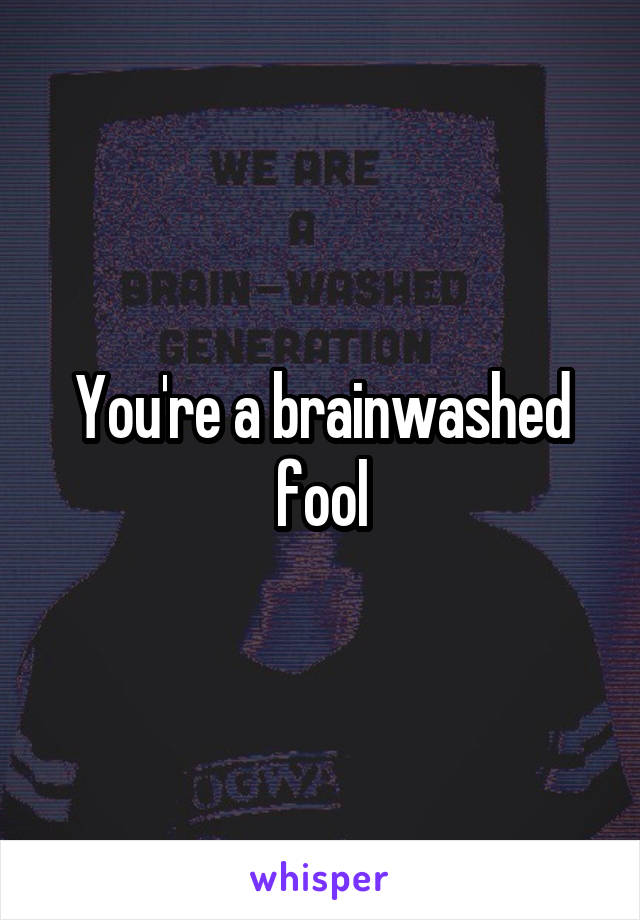 You're a brainwashed fool