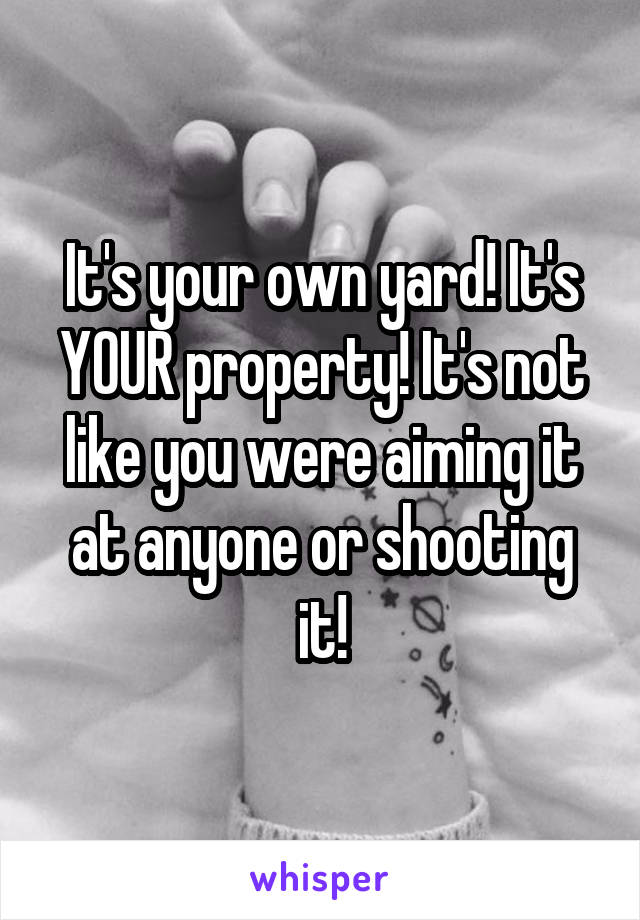 It's your own yard! It's YOUR property! It's not like you were aiming it at anyone or shooting it!