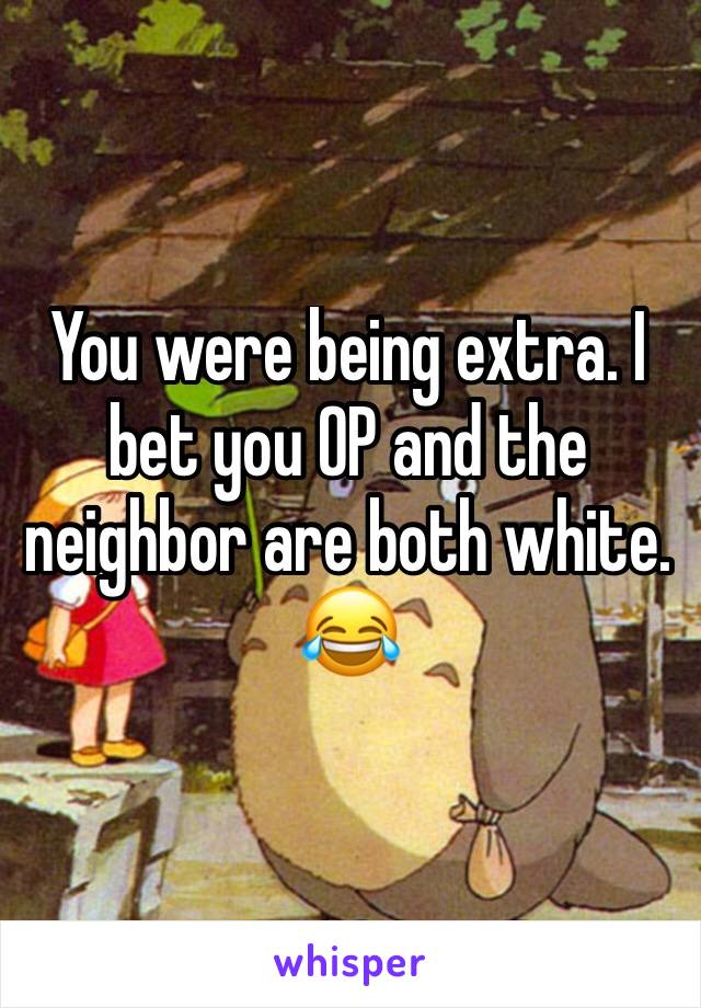 You were being extra. I bet you OP and the neighbor are both white. 😂