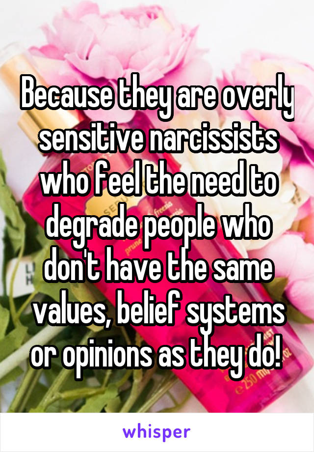 Because they are overly sensitive narcissists who feel the need to degrade people who don't have the same values, belief systems or opinions as they do! 