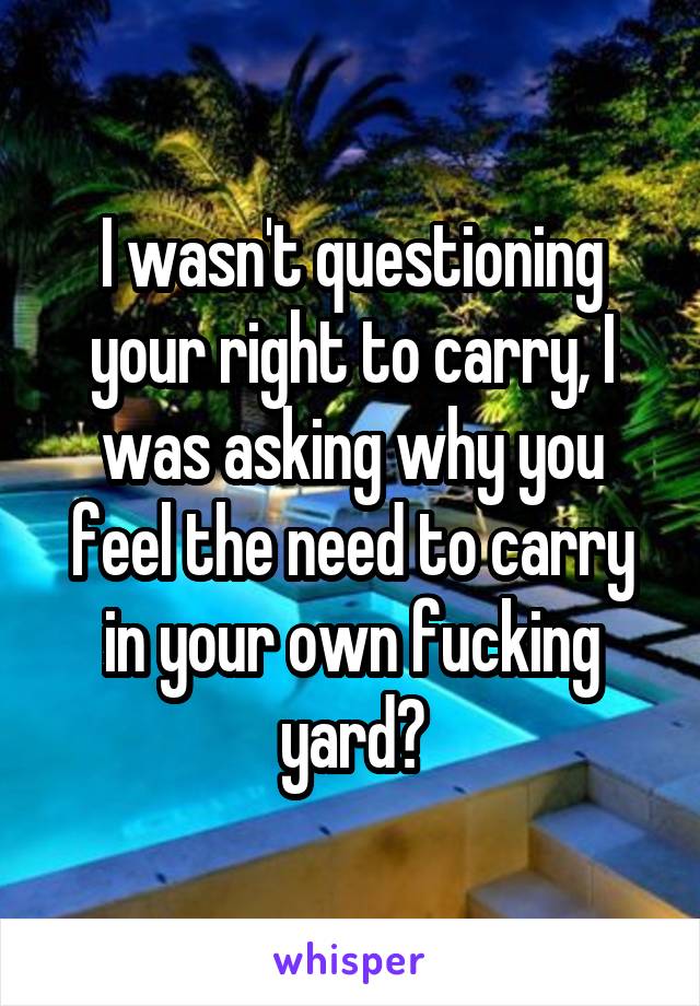 I wasn't questioning your right to carry, I was asking why you feel the need to carry in your own fucking yard?