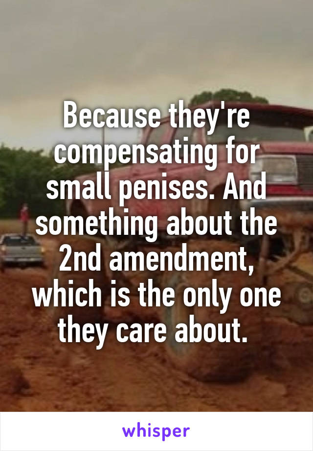 Because they're compensating for small penises. And something about the 2nd amendment, which is the only one they care about. 