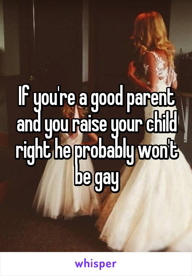 If you're a good parent and you raise your child right he probably won't be gay