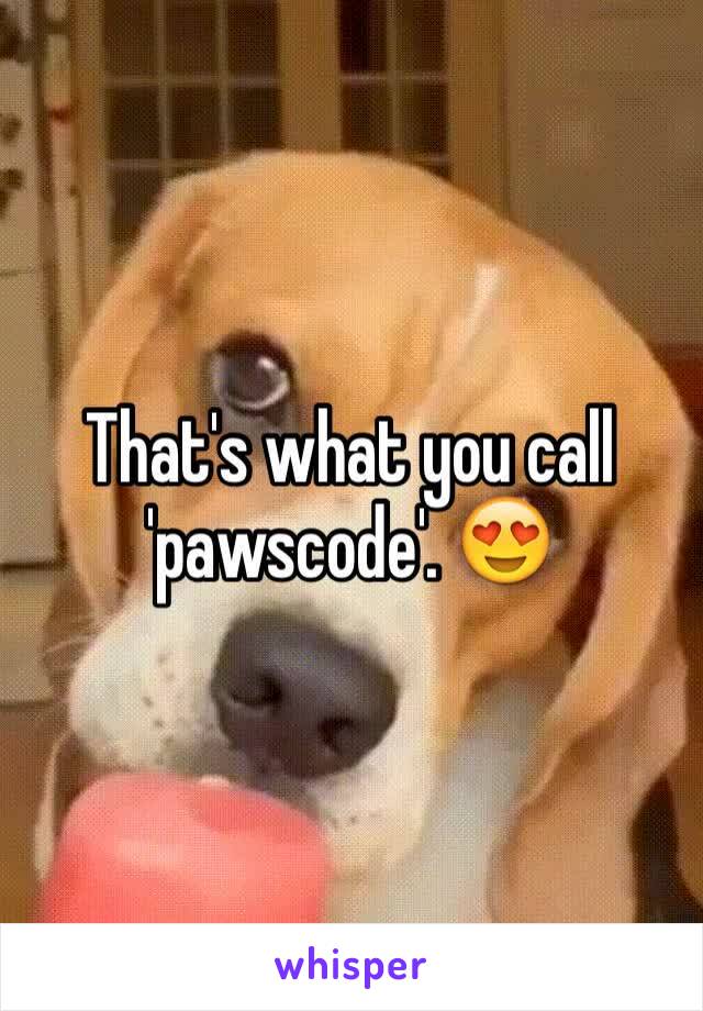 That's what you call 'pawscode'. 😍