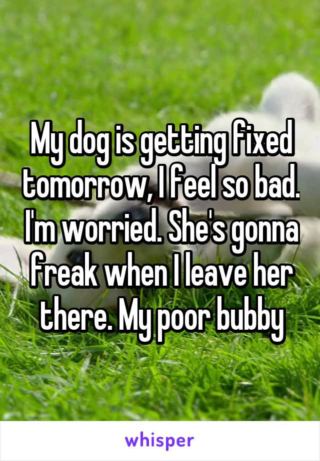 My dog is getting fixed tomorrow, I feel so bad. I'm worried. She's gonna freak when I leave her there. My poor bubby