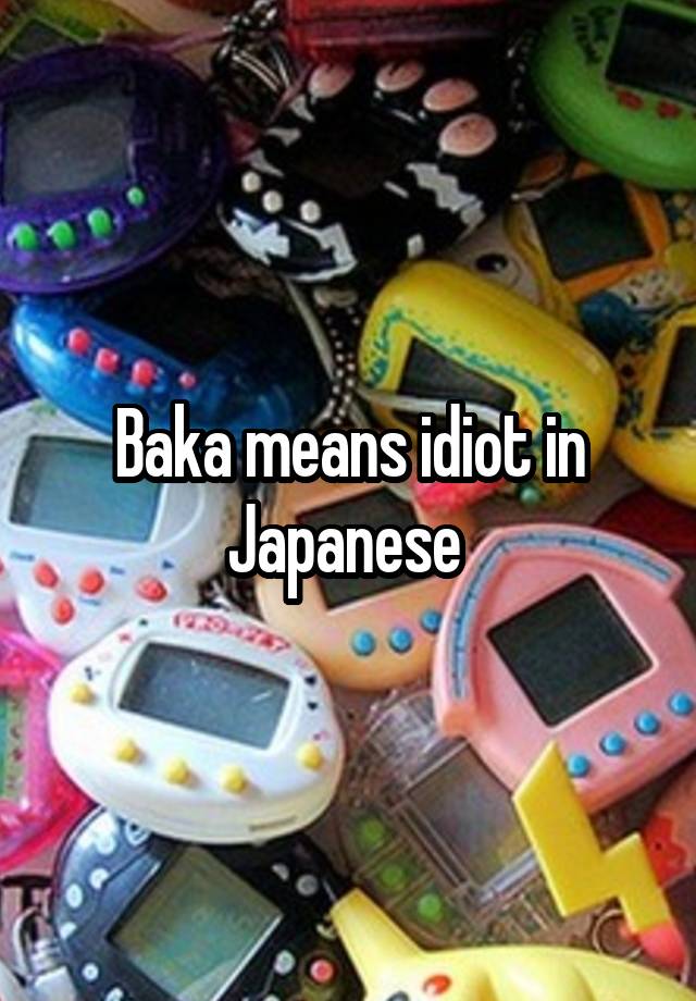 baka-means-idiot-in-japanese