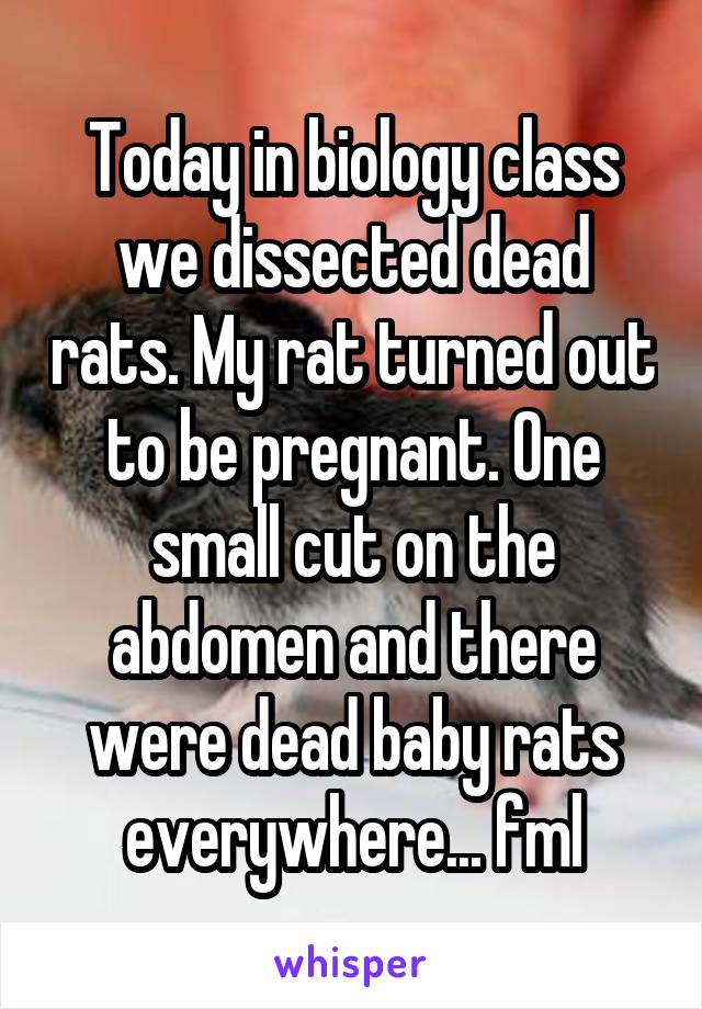 Today in biology class we dissected dead rats. My rat turned out to be pregnant. One small cut on the abdomen and there were dead baby rats everywhere... fml