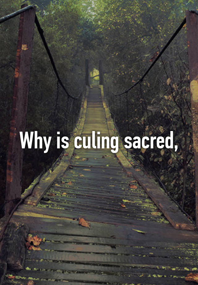 Why is culing sacred,