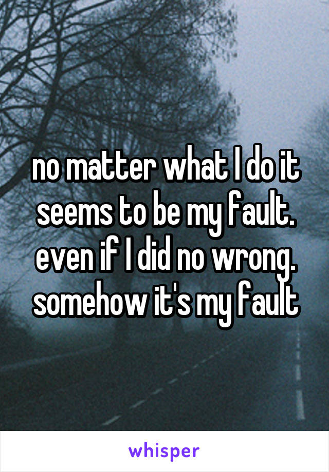 no matter what I do it seems to be my fault. even if I did no wrong. somehow it's my fault