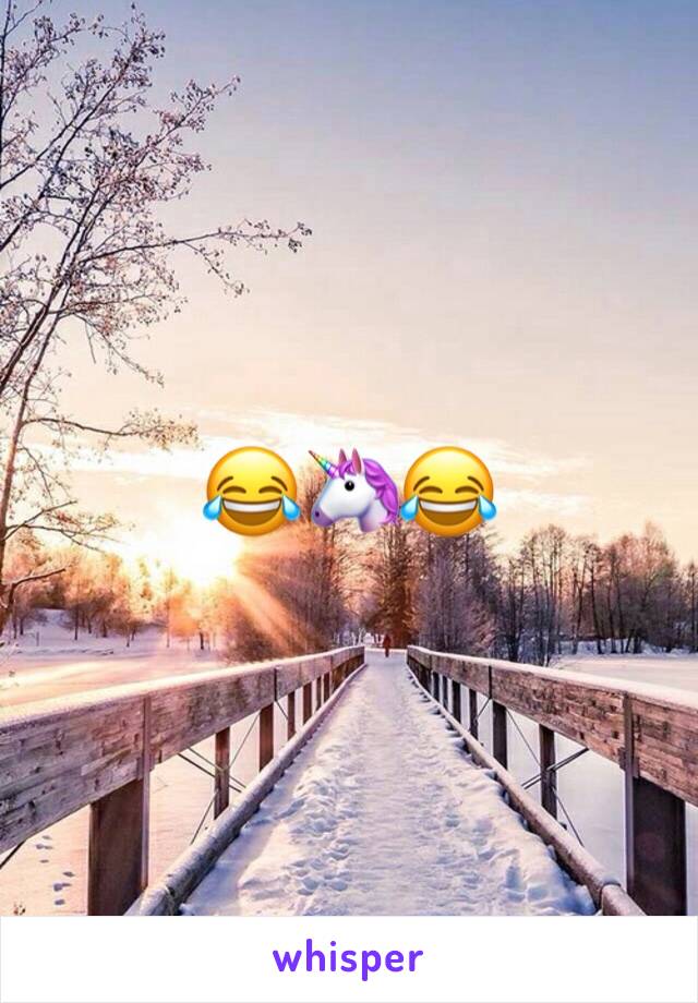 😂🦄😂