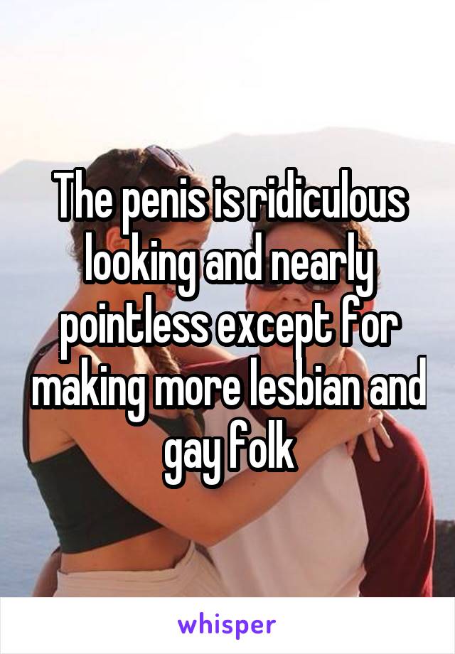 The penis is ridiculous looking and nearly pointless except for making more lesbian and gay folk