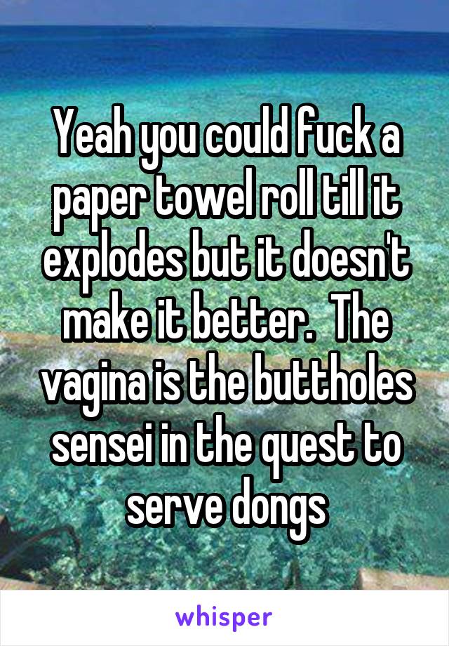 Yeah you could fuck a paper towel roll till it explodes but it doesn't make it better.  The vagina is the buttholes sensei in the quest to serve dongs